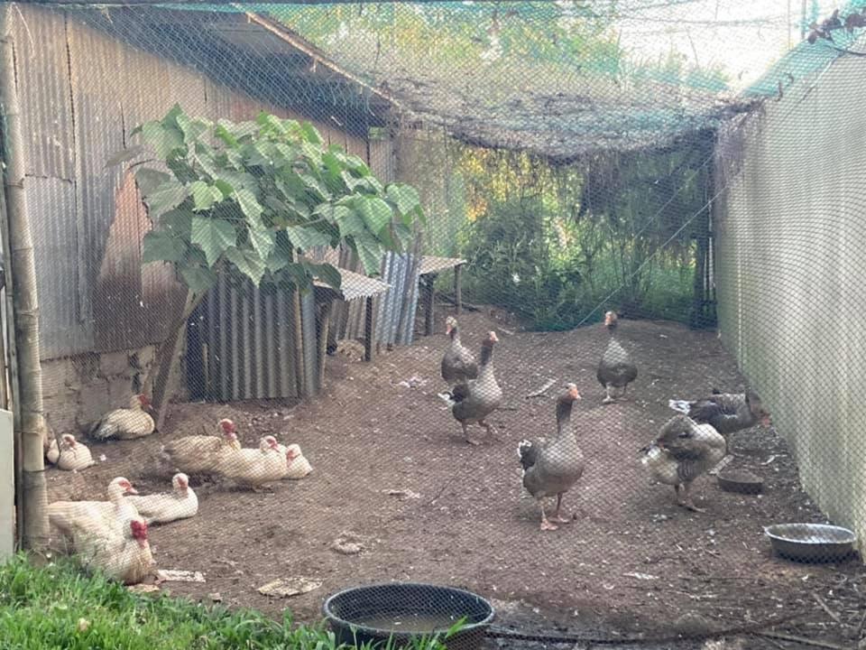Ataalaya Farmhouse Batangas Екстер'єр фото