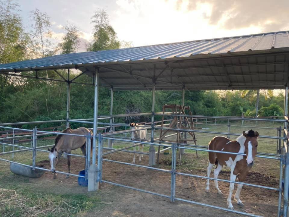 Ataalaya Farmhouse Batangas Екстер'єр фото