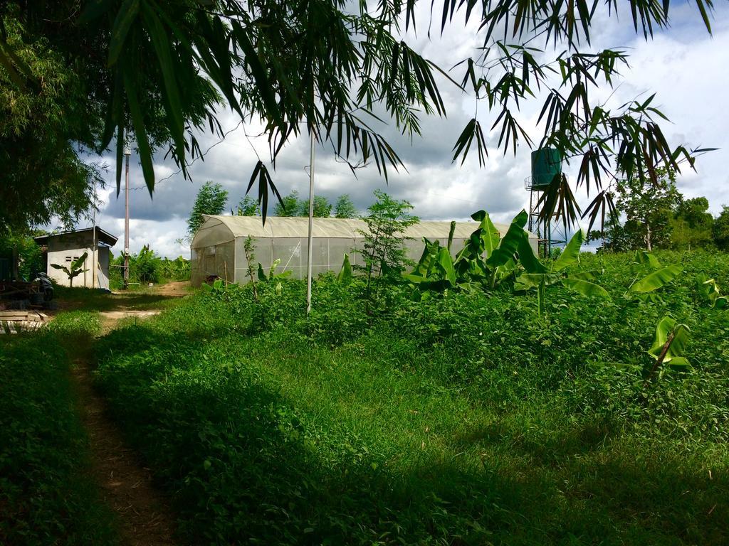 Ataalaya Farmhouse Batangas Екстер'єр фото